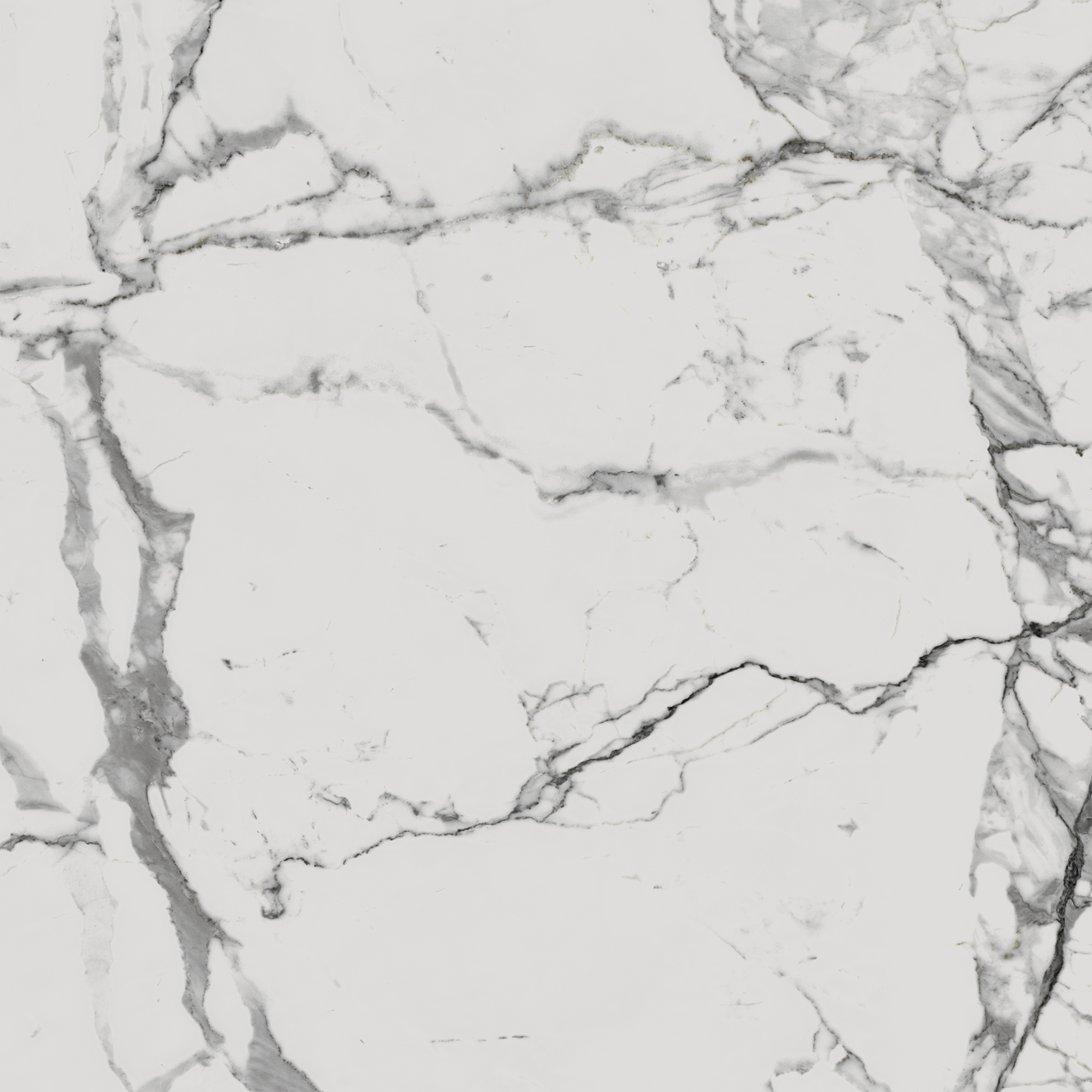 610010001678 На пол Charme Evo Floor Project Статуарио 80 Натуральный и Реттифицированный - фото 3