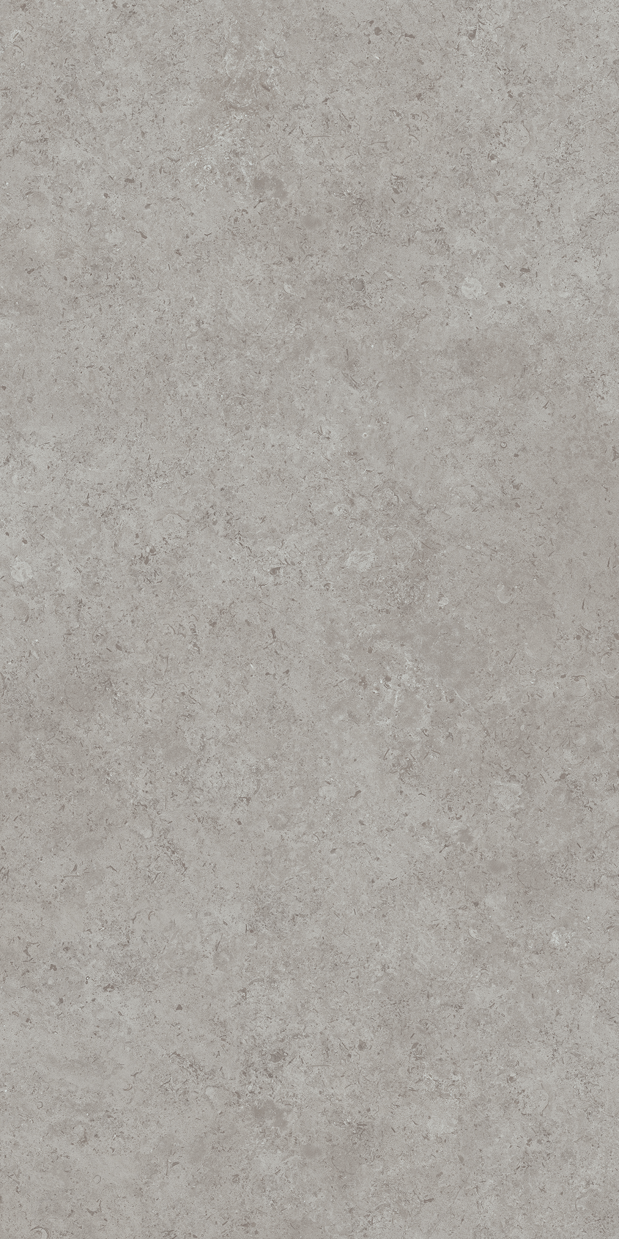 DD590600R На пол Про Лаймстоун Ат Серый Натуральный Обрезной 119.5х238.5 - фото 4