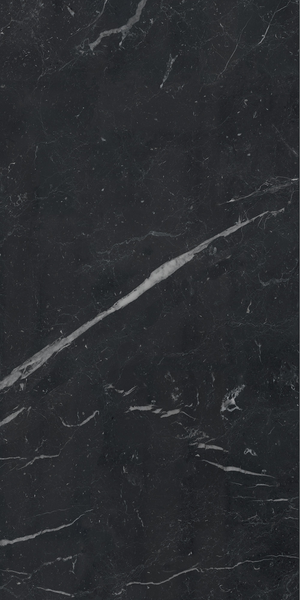 AGB7 На пол Anima Futura Unique Black Luc 60x120 - фото 4