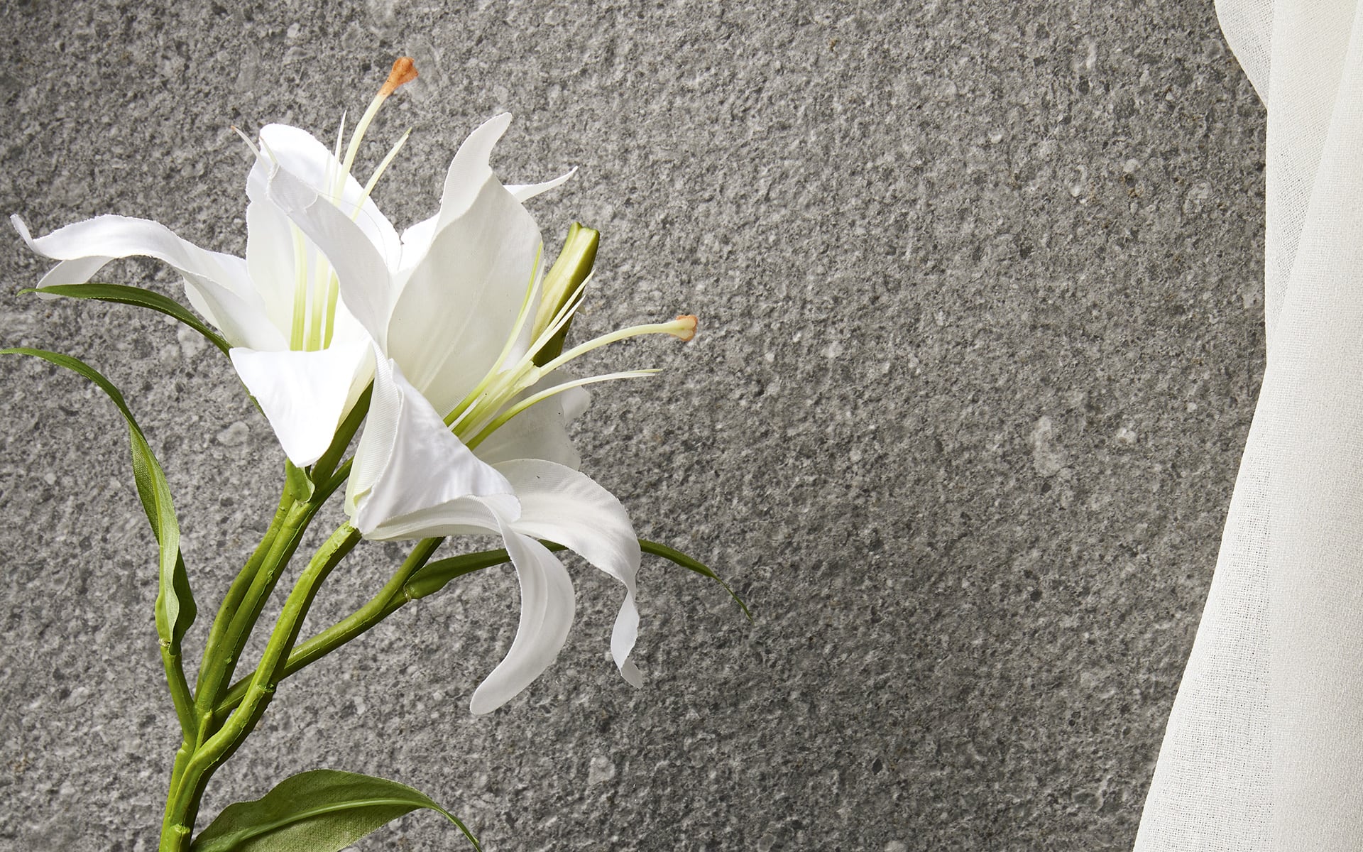 8929994 На пол Victorian Stone Moon Cream Natural Plus 120x60 - фото 33