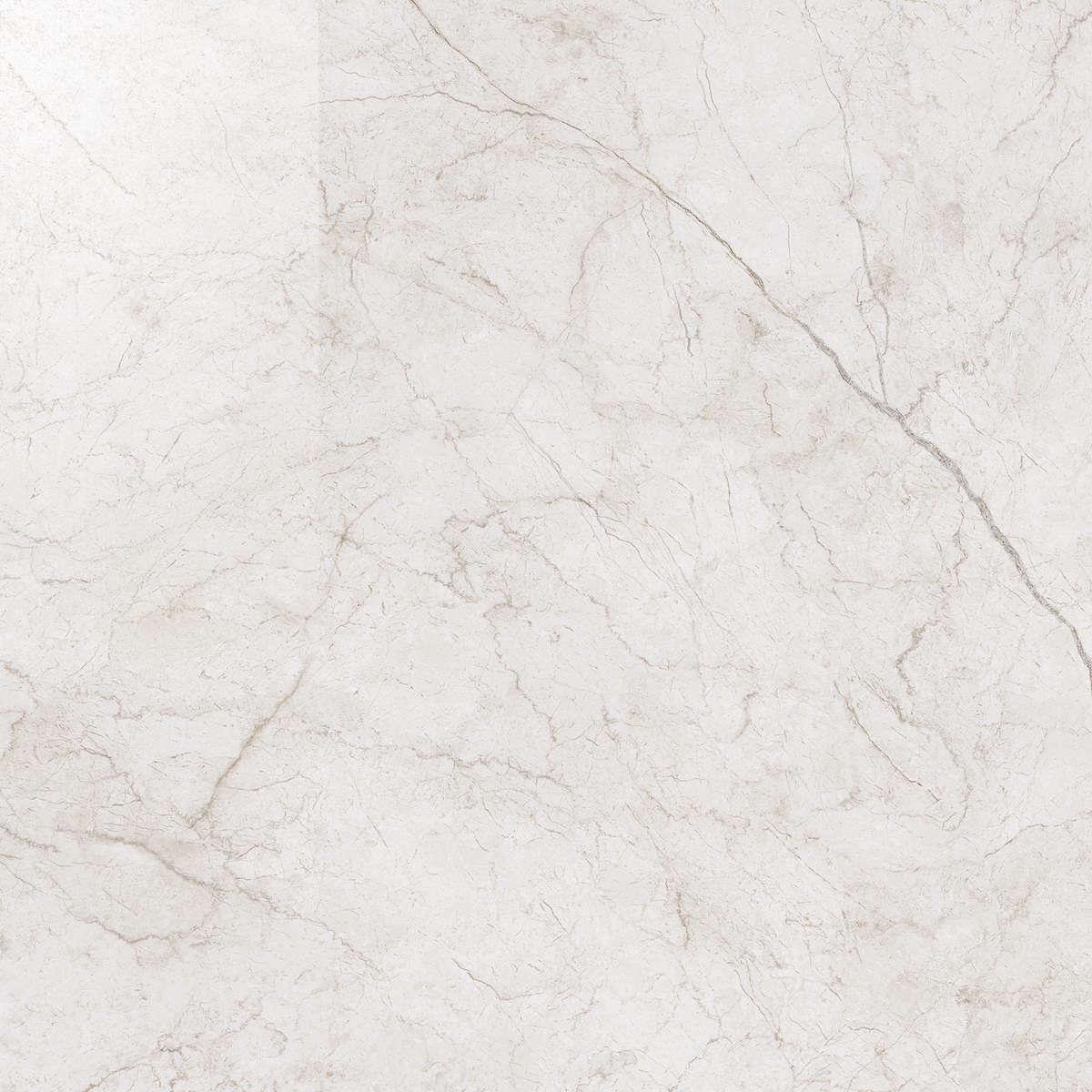 610015000262 На пол Contempora Пур 60 Шлифованный и Реттифицированный