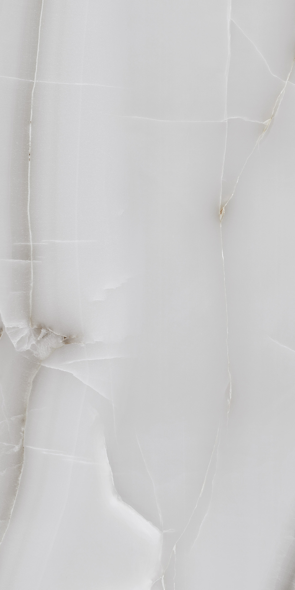 FP1025-A На пол Onyx Line Grey Full Polished 60x120 - фото 6