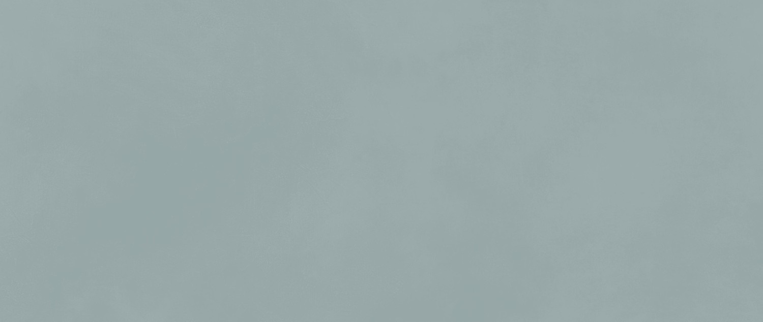 AKM8 На стену Boost Color Iris 50x120 - фото 10