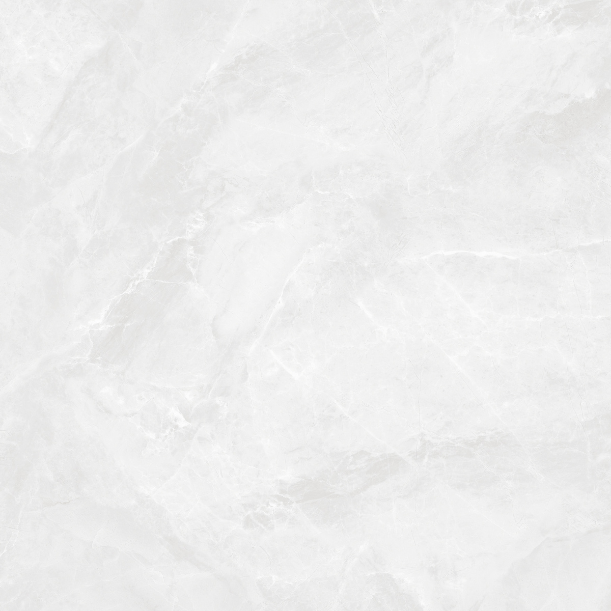 CR6060G0391R На пол Regnum Bianco светло-серый матовый 59.5х59.5 - фото 9