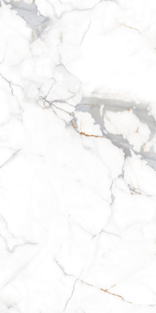 GT120606103PR На пол Calacatta Imperial Белый PR 60x120 - фото 6