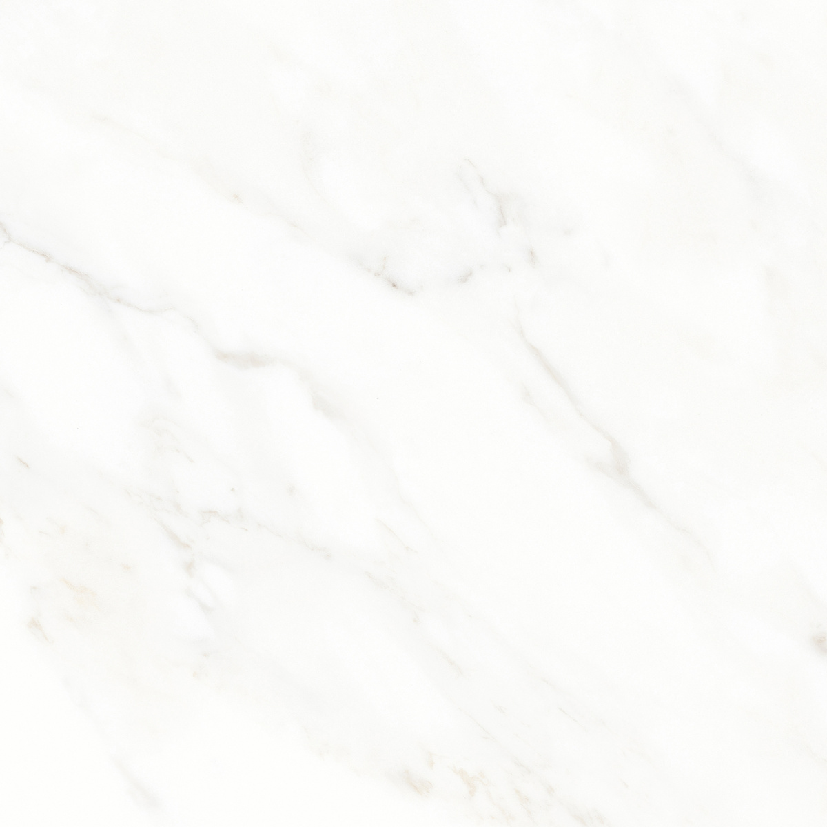 K952677LPR01LPER На пол Calacatta Michael Белый матовый 60х60 - фото 8