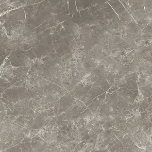 ECE3 На пол Elements Lux Persian Grey Silk RT 60x60 - фото 6