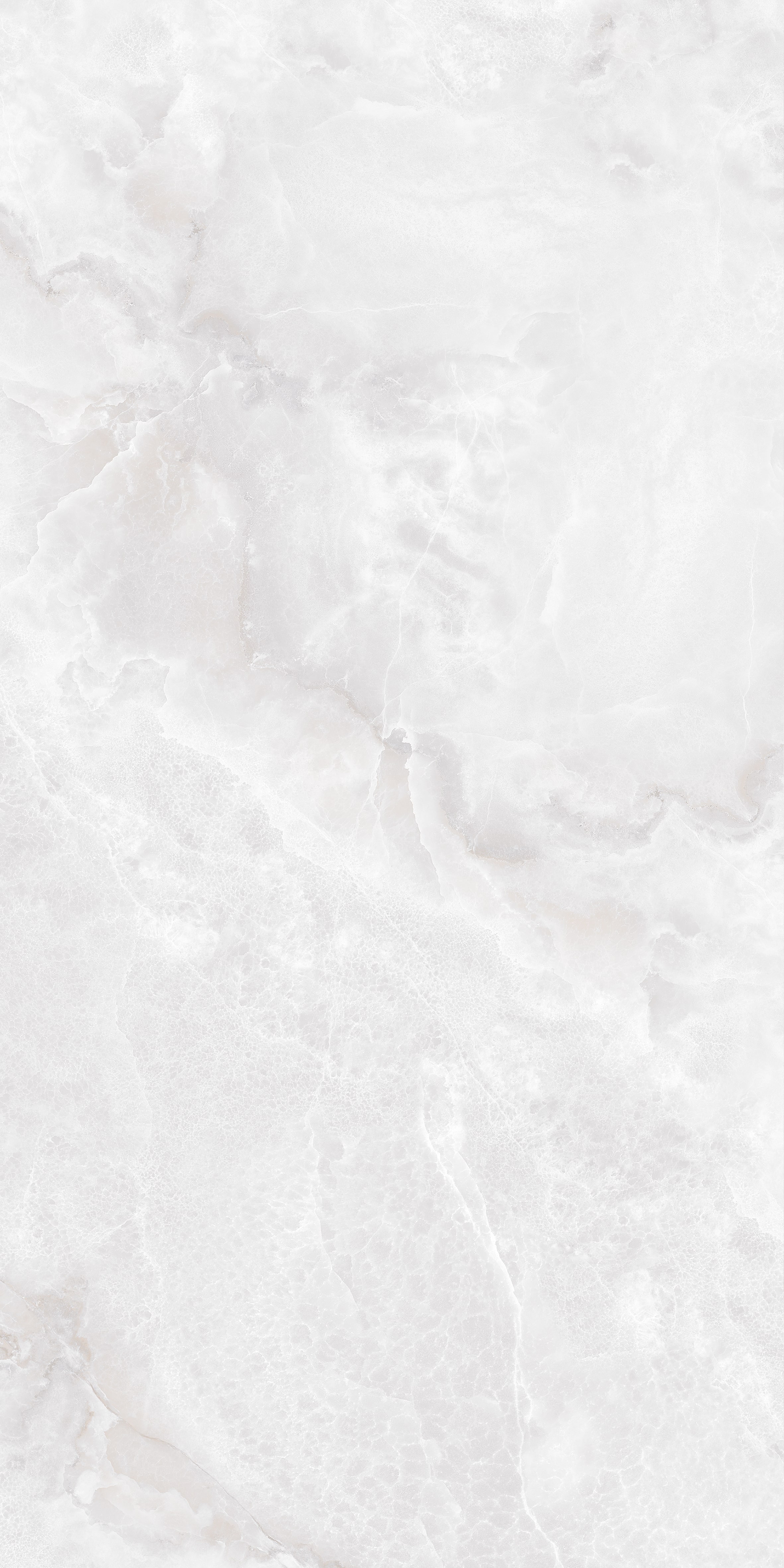 GT1206016206SSDGR На пол Agra Светло-серый лаппатированный 60x120 - фото 4