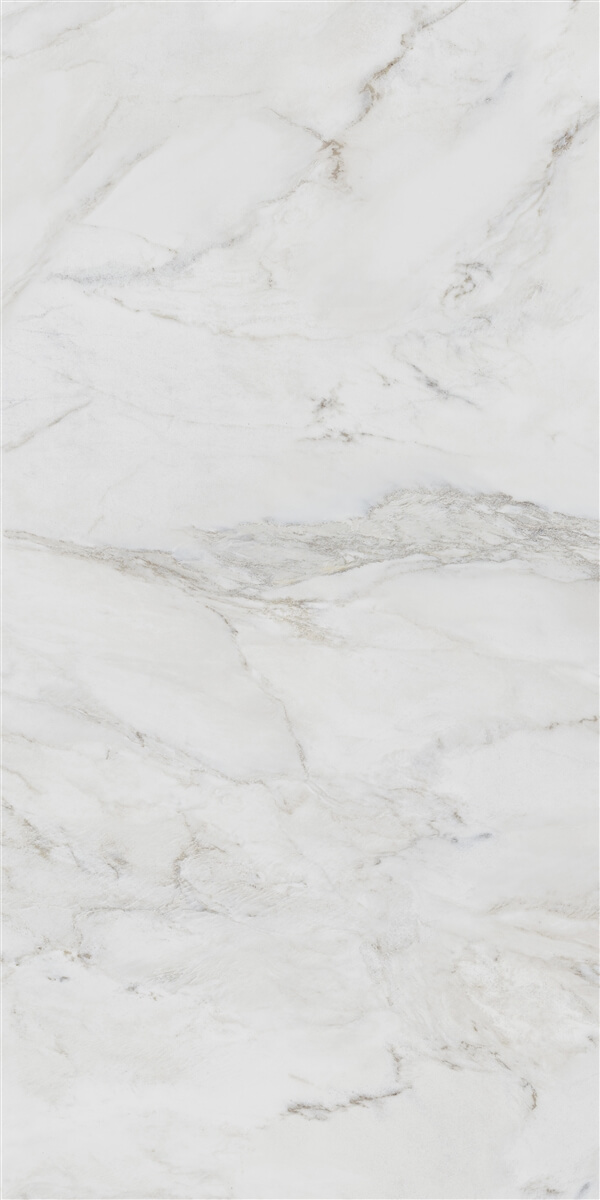 P19809 На пол Anderson White Polish Rec 60x120 - фото 4