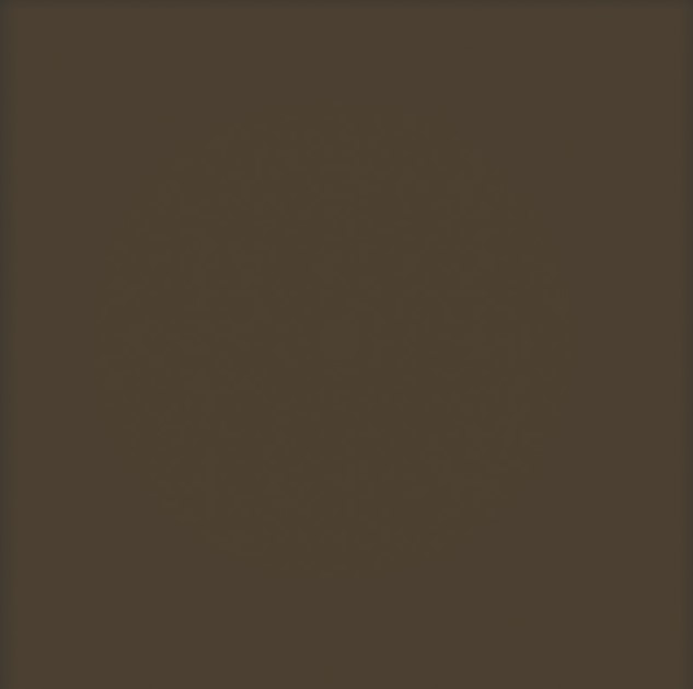 На стену Pastel Brzowy Mat 20x20