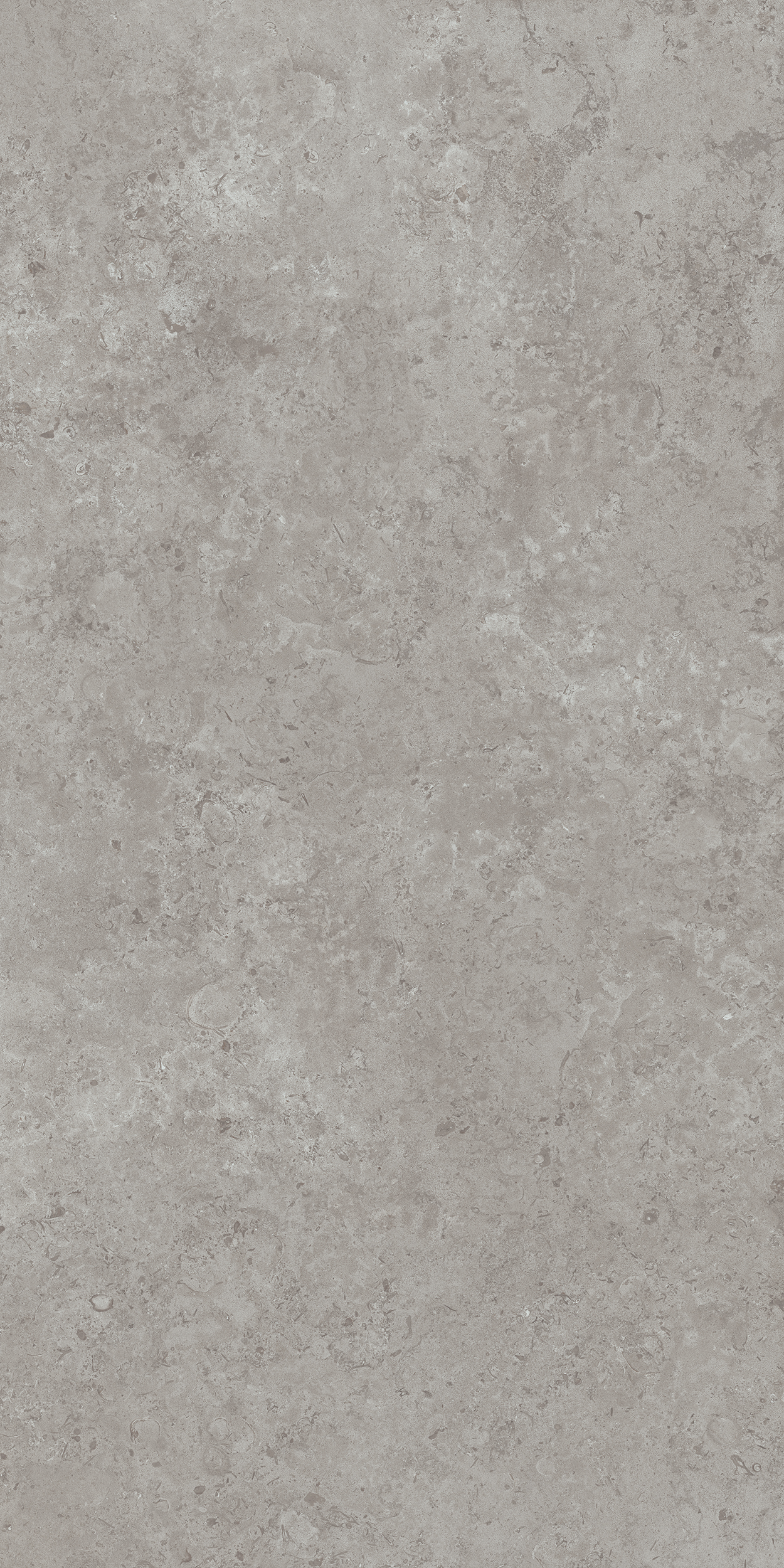 DD590600R На пол Про Лаймстоун Ат Серый Натуральный Обрезной 119.5х238.5 - фото 6