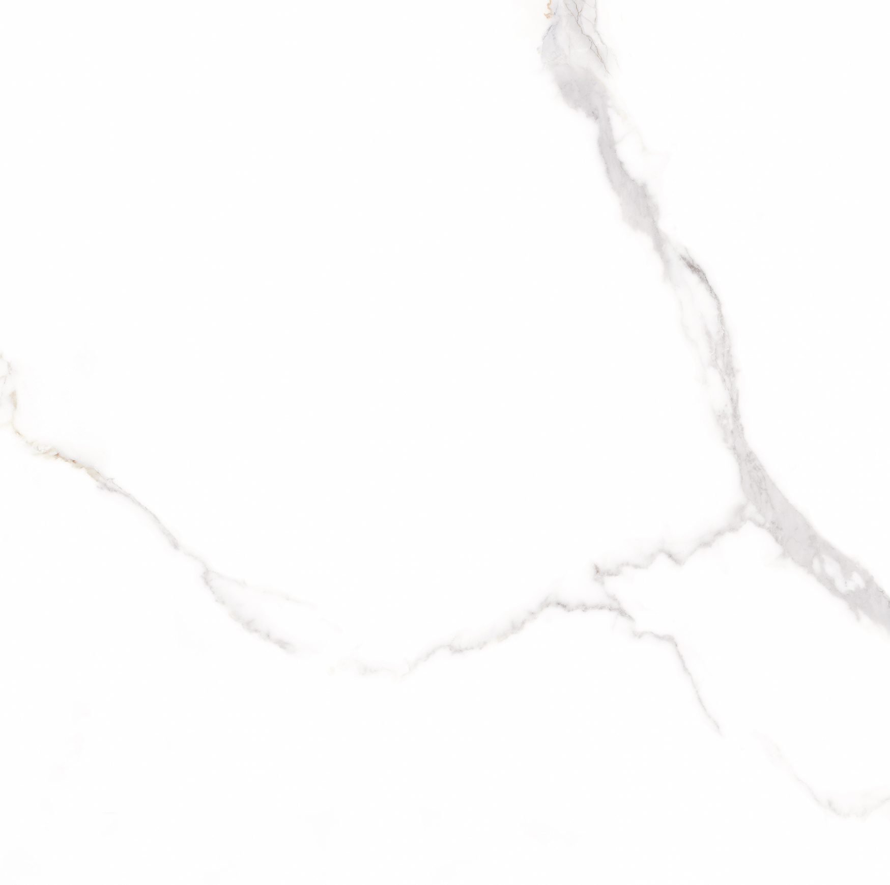 6461-0411 На пол Иней / Inei Белый 60х60 - фото 16