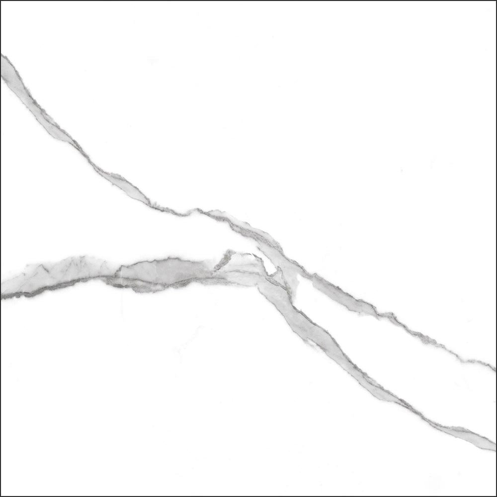 GT60601503MR На пол Anima Белый грес глаз. матовый - фото 3