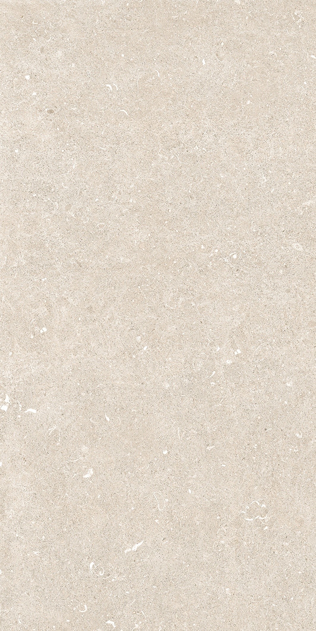 785574 На пол Rinascenza Arena Bianco Antico Matte 6mm 60x120 - фото 3