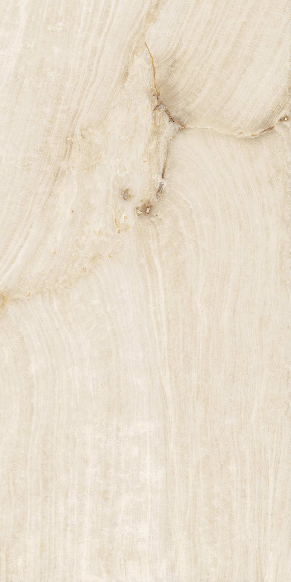 На пол Roman Shapetouch 60x120 - фото 3