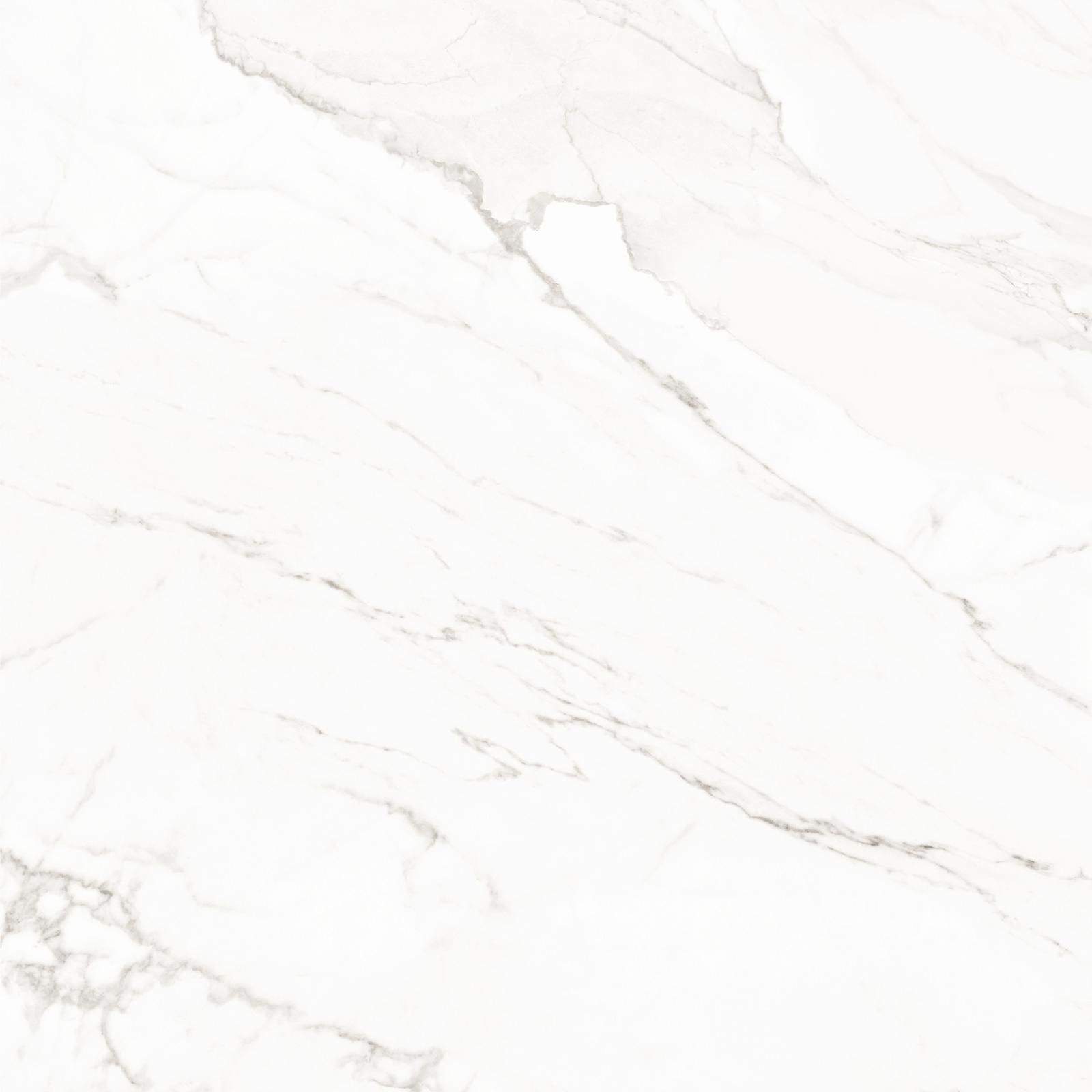 8080TRL00M На пол Trend Line Calacatta матовый 800x800 - фото 5