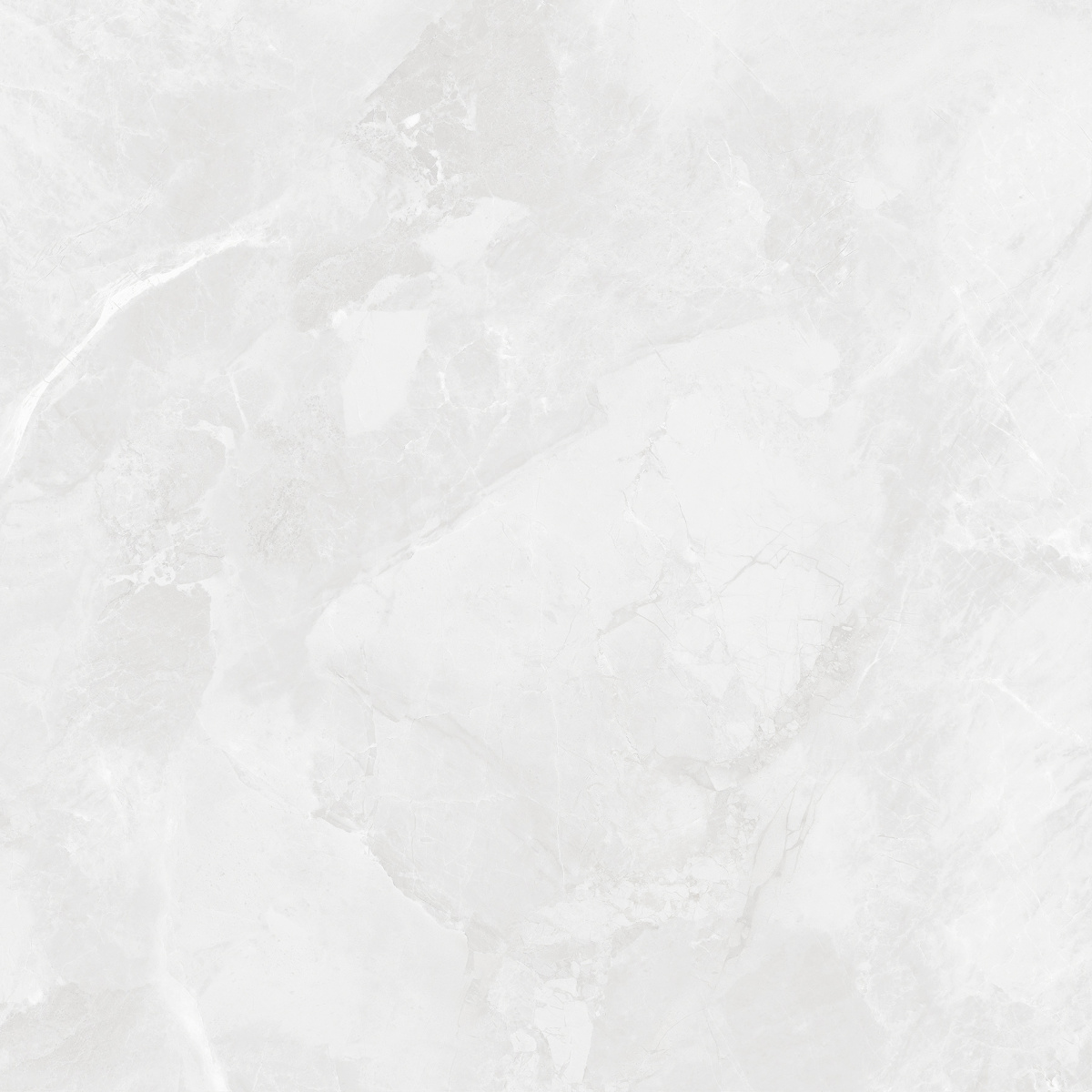 CR6060G0391R На пол Regnum Bianco светло-серый матовый 59.5х59.5 - фото 4