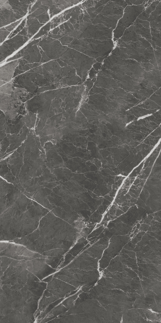 GT1206019809MHRR На пол Oscar Темно-серый матовый 60x120 - фото 7