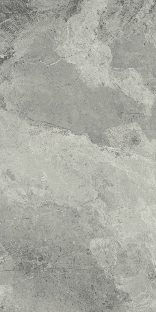 610010001196 На пол Charme Extra Floor Project Силвер 60x120 Натуральный и Реттифицированный - фото 4