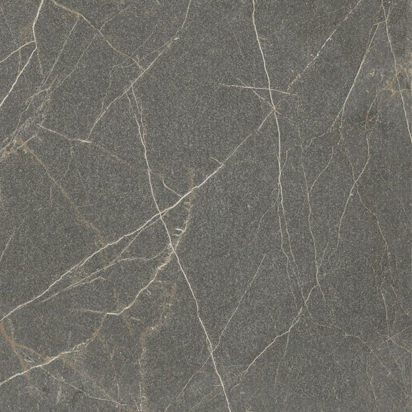 ID9061E081MR На пол Sofia  Grey Anthracite / Серый Антрацит MR 60x60 - фото 13