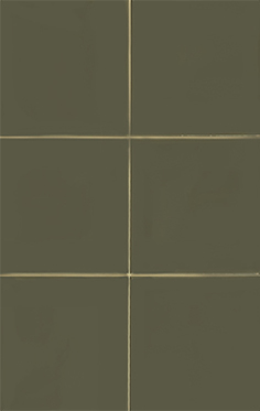 P3149867 На стену Sevilla Green