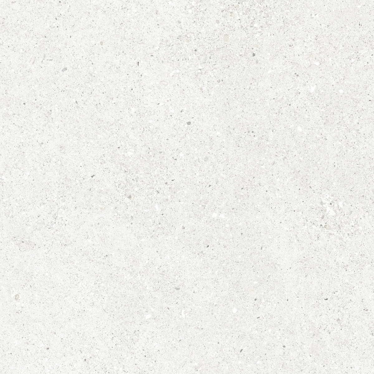 CR6060G0471R На пол Perla Bianco светло-серый матовый 59.5х59.5 - фото 5