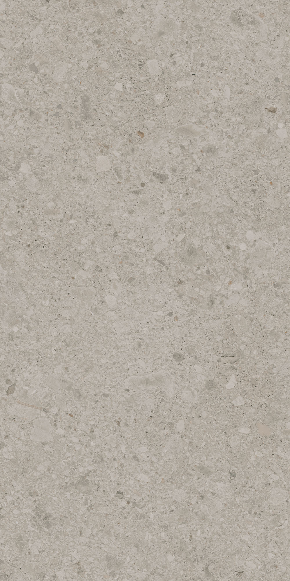 DD591300R На пол Чеппо ди Гре Бежевый светлый матовый обрезной 119.5x238.5x1.1 - фото 2