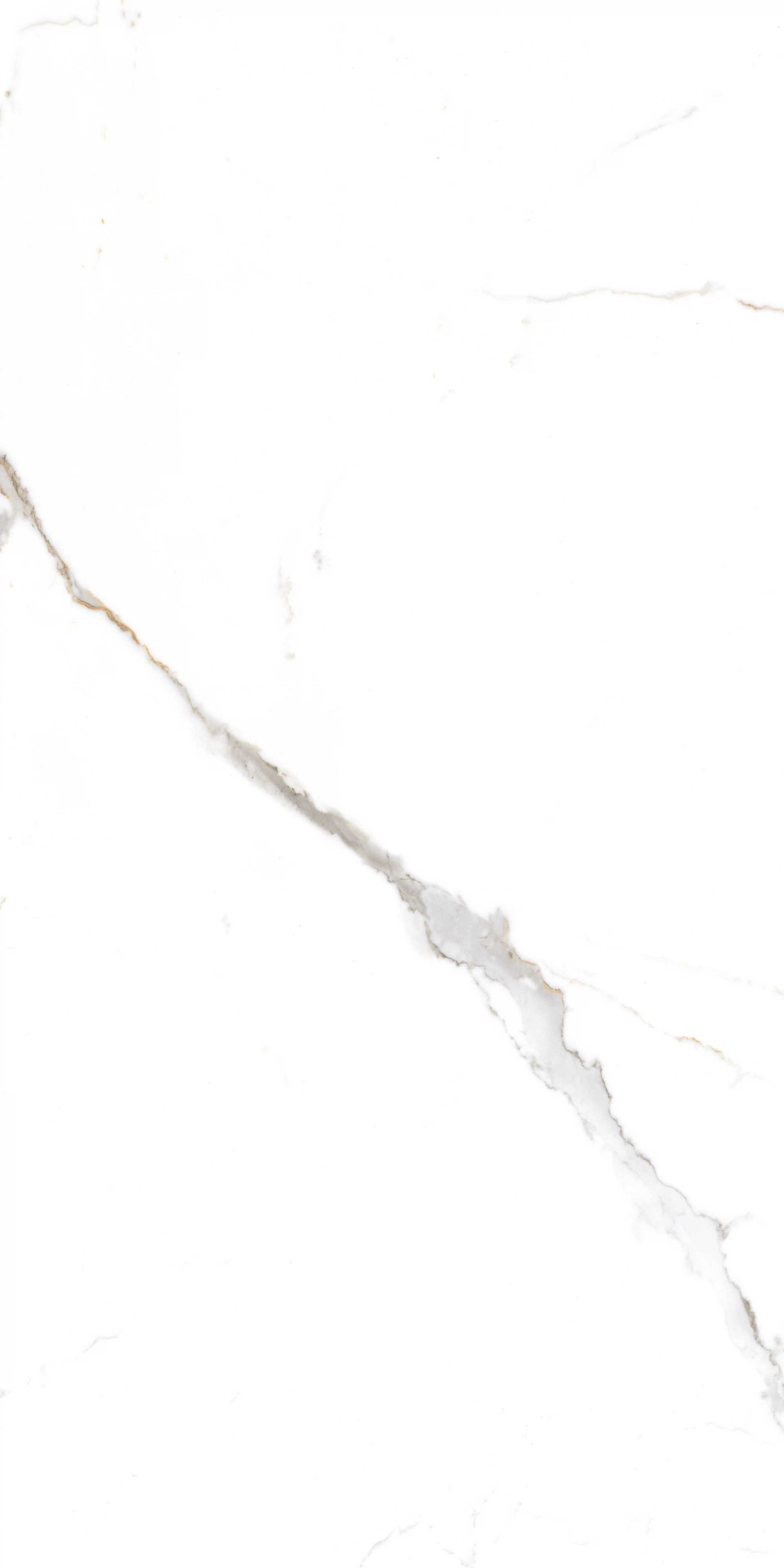 GT1206015103PR На пол Corus Белый полированный 60x120 - фото 2