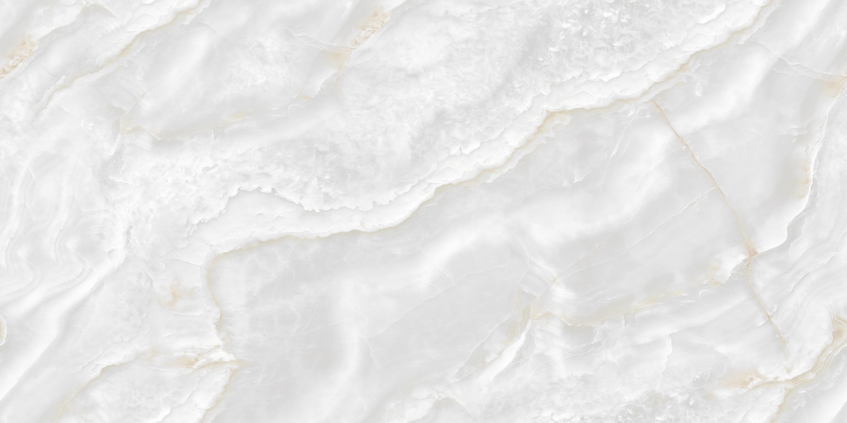 N12048 На пол Onyx Florim Polished 60x120