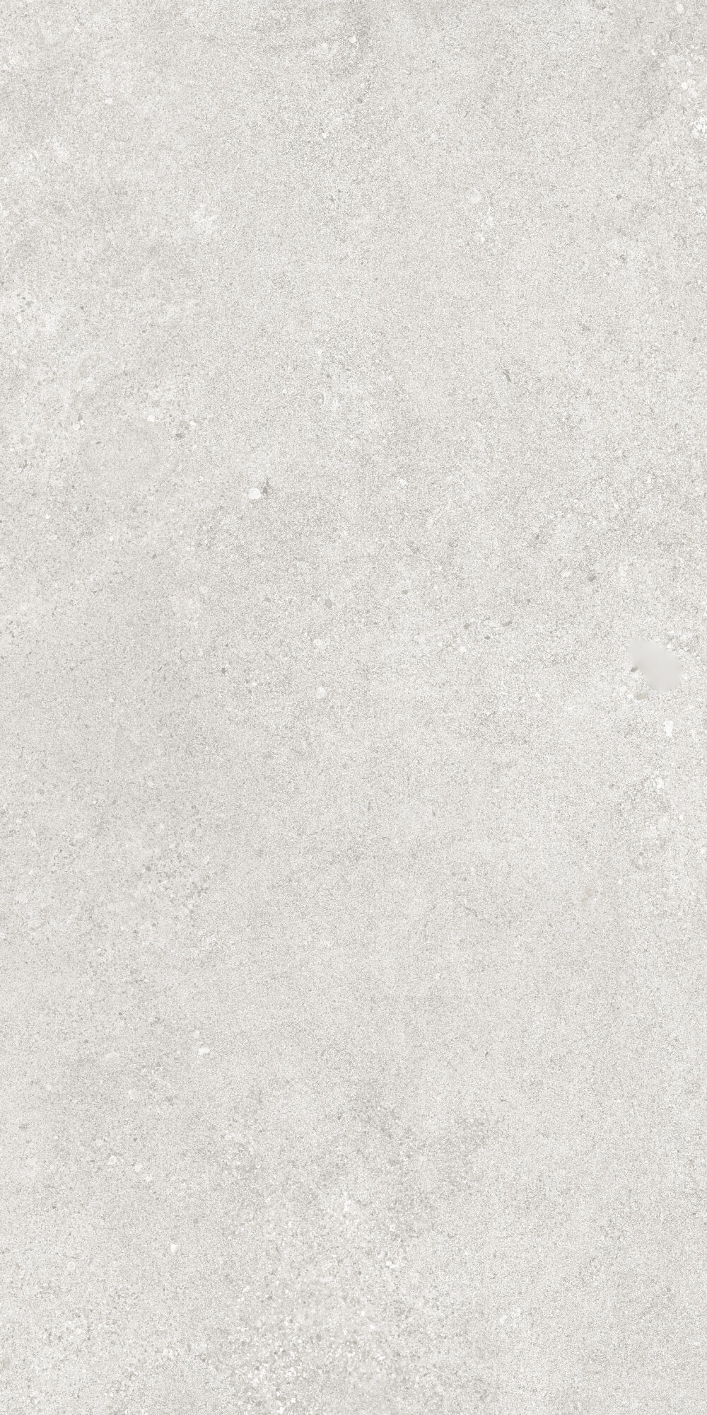 36904 На пол Cluny Silver 4D/50X100X2/A/R 50x100 - фото 13