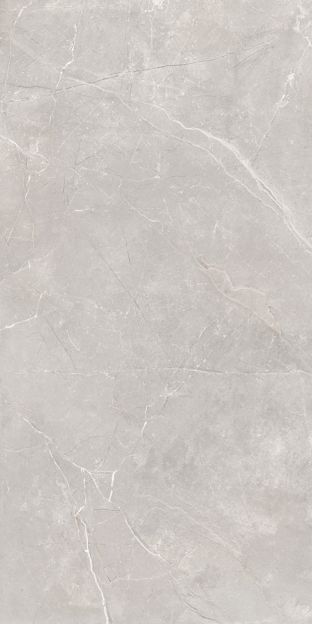 GT1206012601SSR На пол Sogdiana Серый 60x120 - фото 4