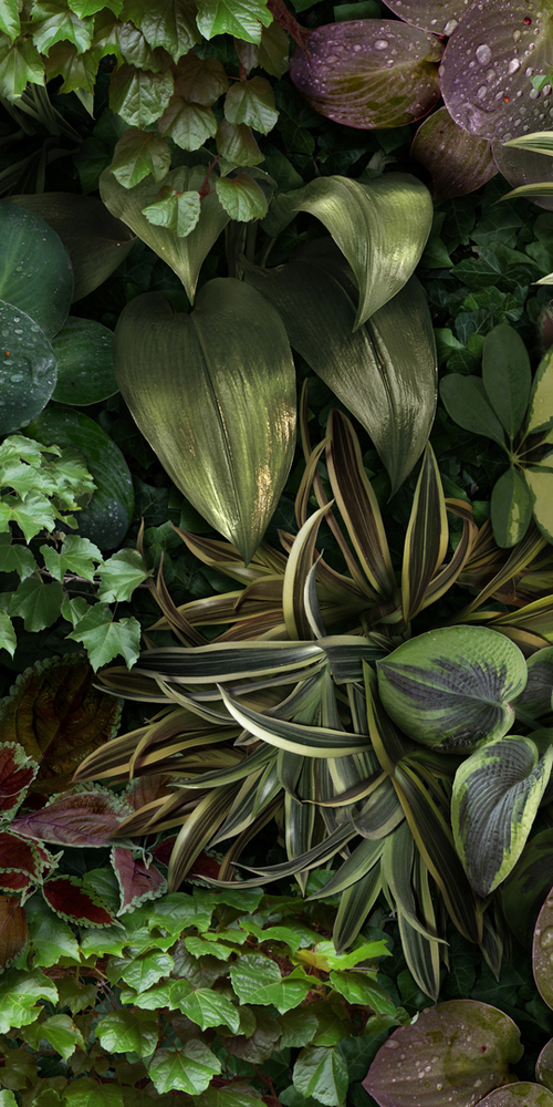 4100152 На стену Paper41 Pro Jane B