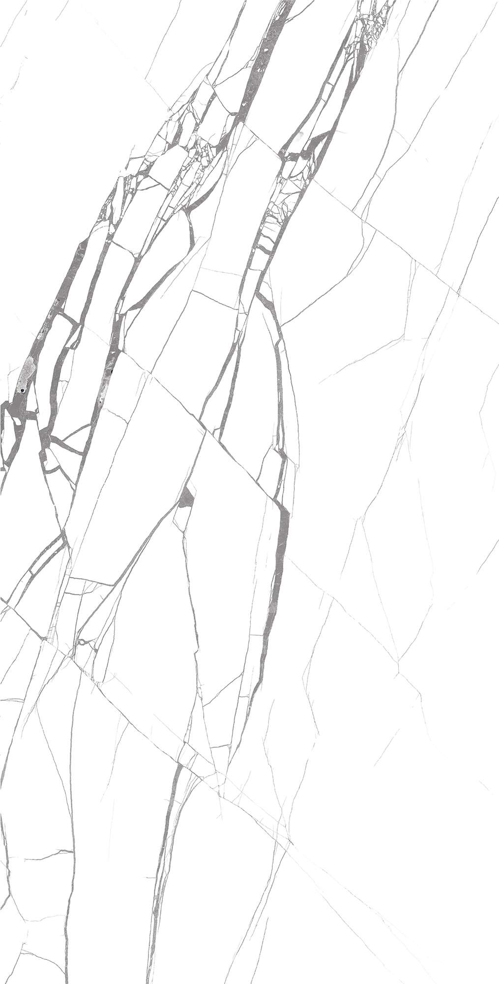 FP1001-A На пол Rotto Marmo Full Polished 60x120 - фото 3