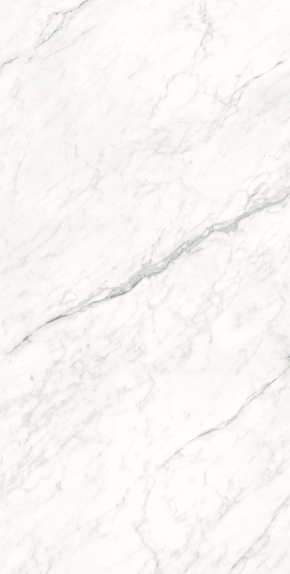 CZ-GL07-B На пол Montesa White Matt Glossy Ink 80x16 - фото 4