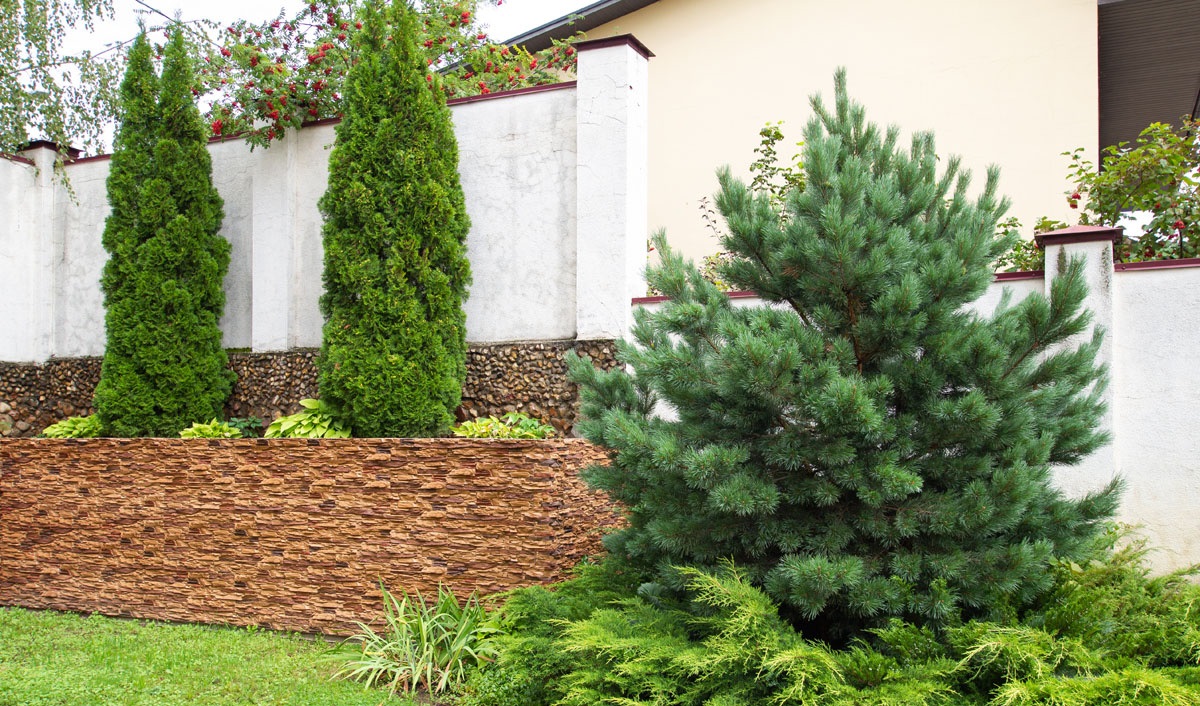 На стену Леонардо Плоскость 880 - фото 13