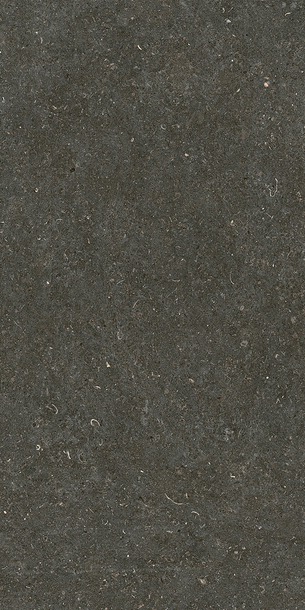 785577 На пол Rinascenza Arena Platino Matte 6mm 60x120 - фото 6