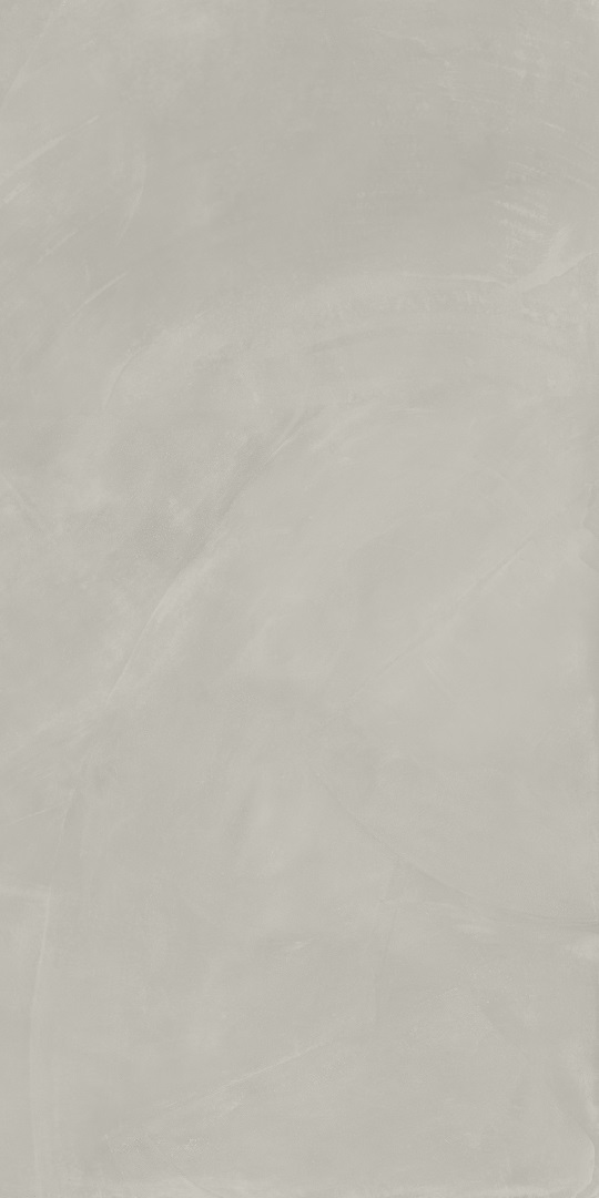 610010002684 На пол Continuum Silver 80x160