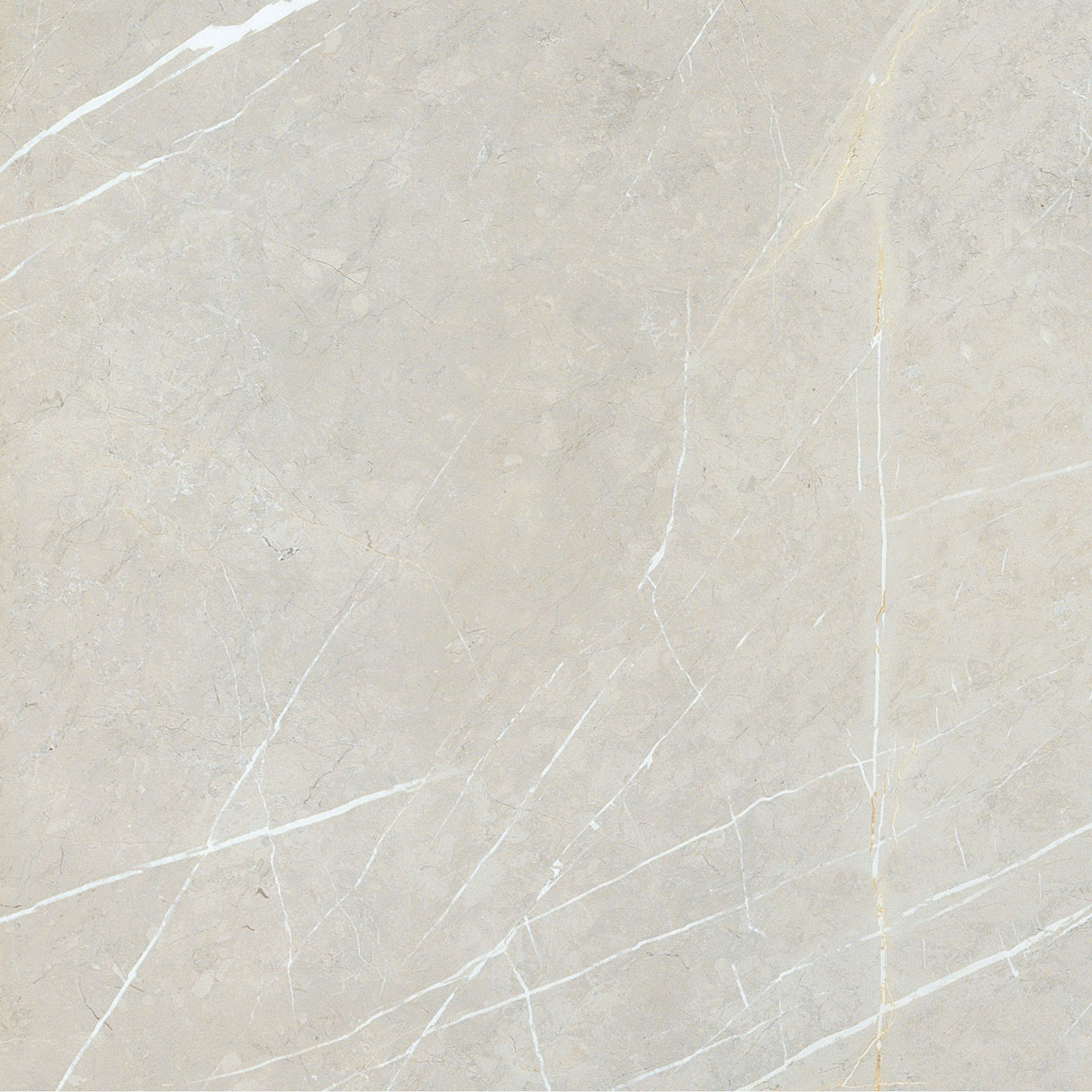 BB6NTT9101P На пол Bright And Shiny BB6NTT9101P - фото 9