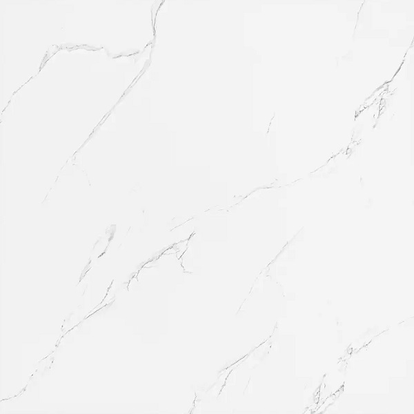 Z66D01 На пол Matt Porcelain Матовый 60x60