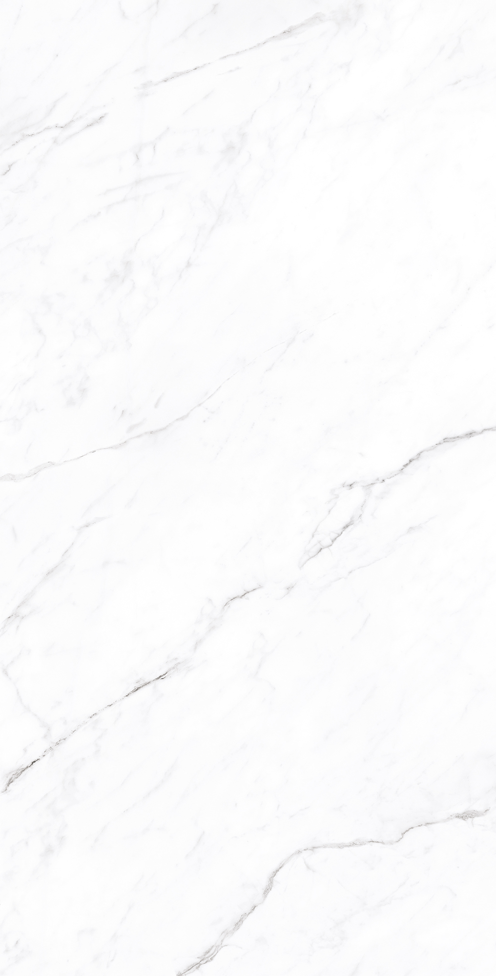 CP4003-A На пол Coralina White Carving Pro 60x120 - фото 4