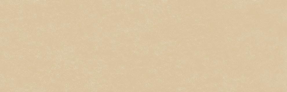 8YQ5 На стену Stracciatella Siena R 32x99