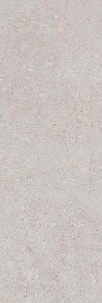 14053R Настенная Риккарди Серый Светлый Матовый Обрезной 40x120 - фото 2
