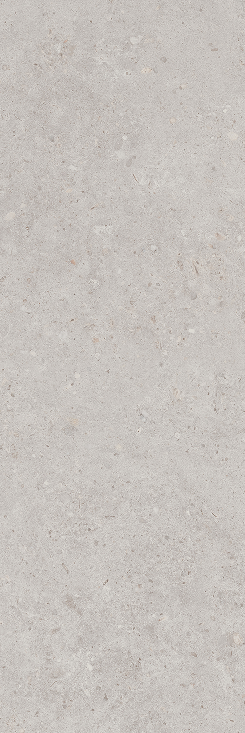 14053R На стену Риккарди Серый Светлый Матовый Обрезной 40x120 - фото 2