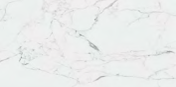 K951844LPR01VTER На пол CityMarble Статуарио Венато 7ЛПР R9 8мм 60x120 - фото 5