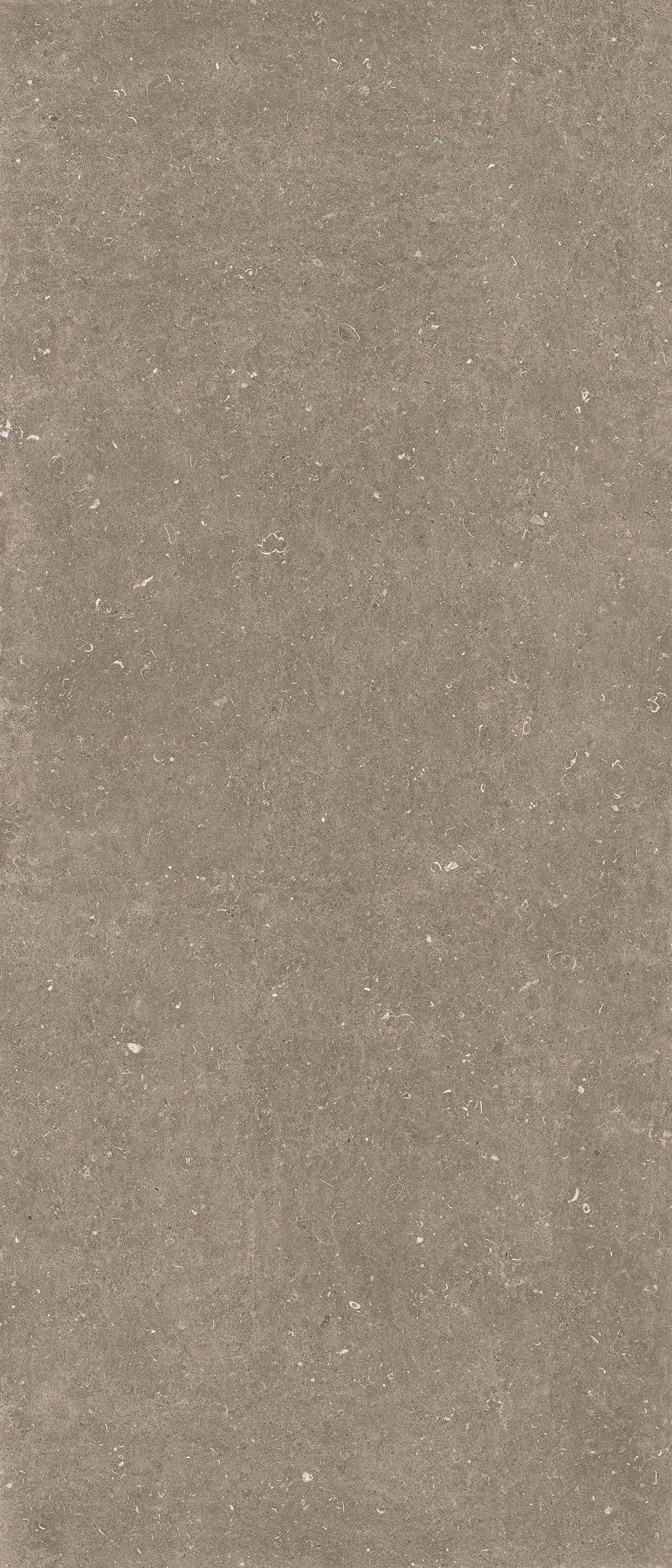 785572 На пол Rinascenza Arena Pietra Matte 6mm 120x280