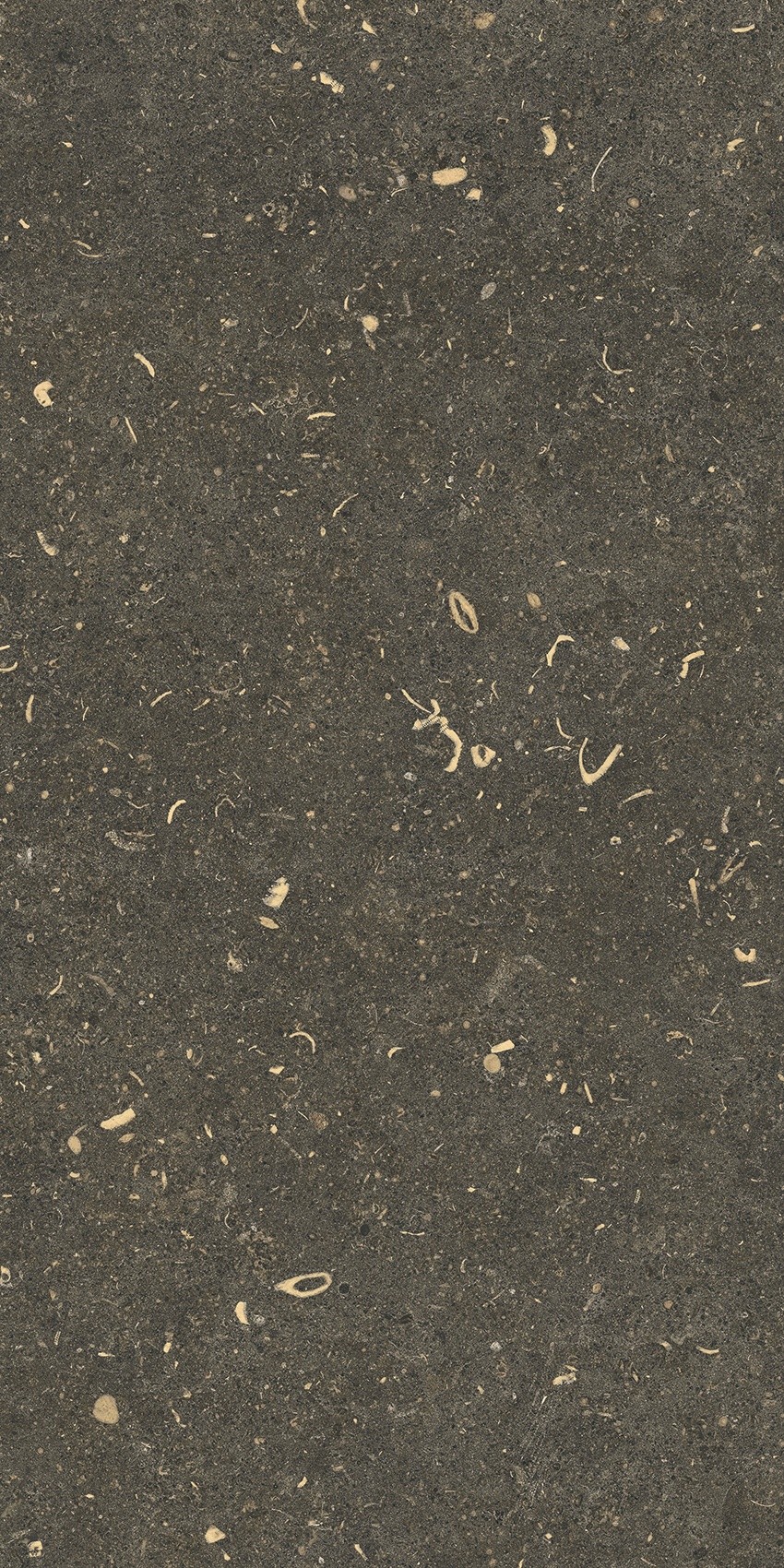 785503 На пол Rinascenza Arena Platino Grip 30x60 - фото 7