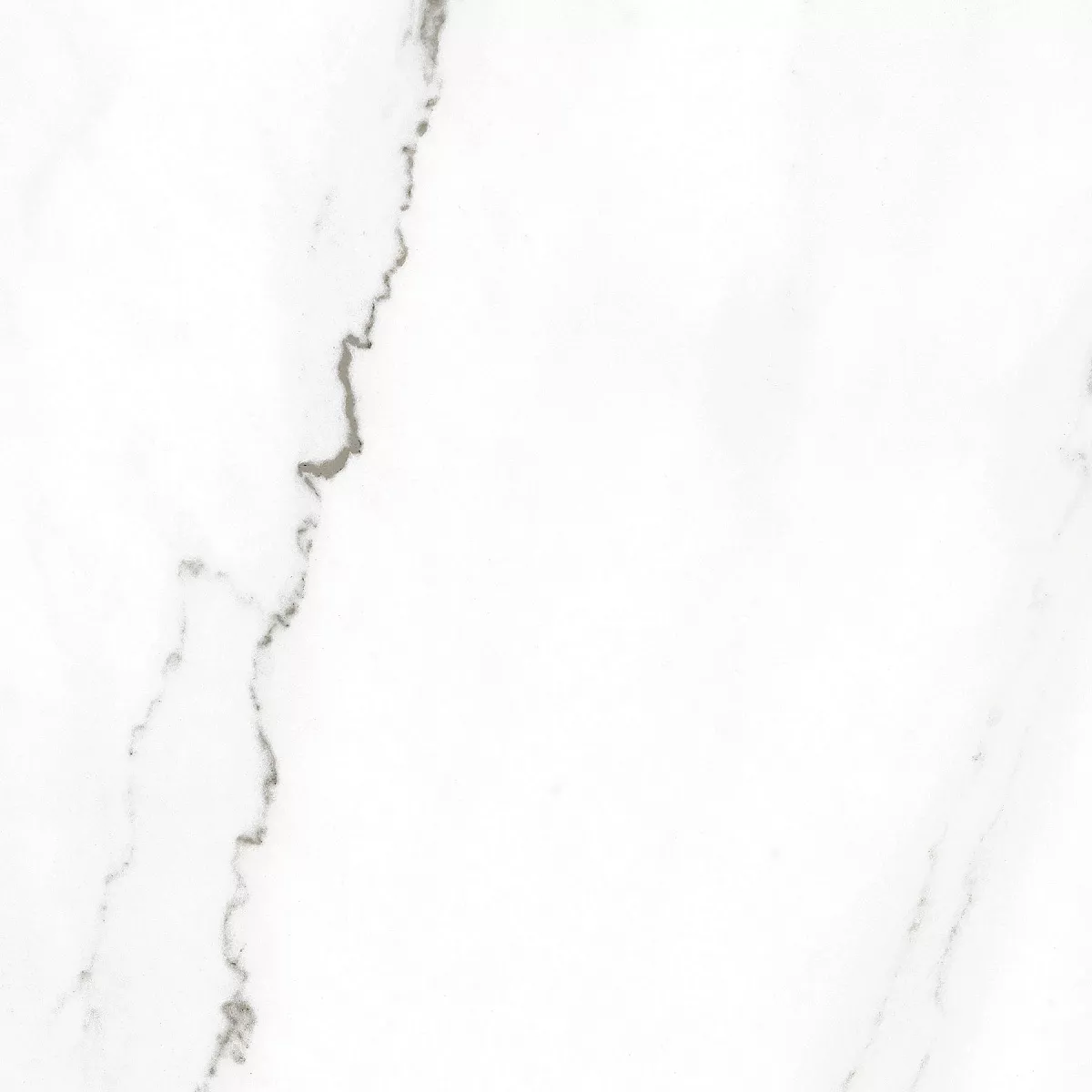 E-3010/MR/600x600x9 На пол Harmony Белый ректификат 600x600x9 - фото 3