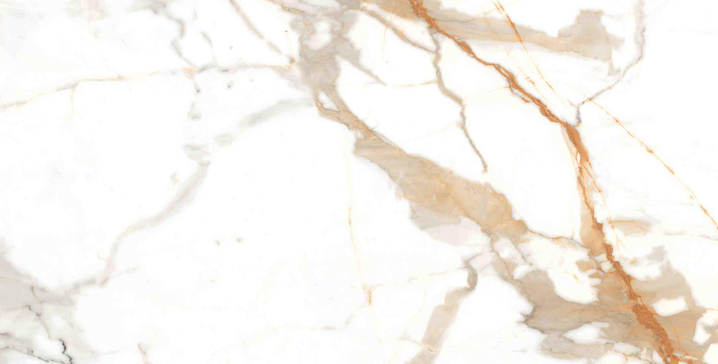 ENMAR7003MT60120 На пол Marble Calacatta Oro Matt 60x120 - фото 9