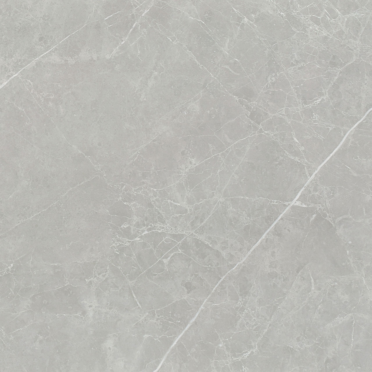 PT6NTT1102L На пол Pietra Серый Лаппатированный 60x60 - фото 5
