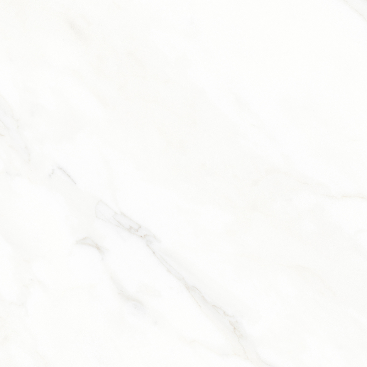 K952677LPR01LPER На пол Calacatta Michael Белый матовый 60х60 - фото 5